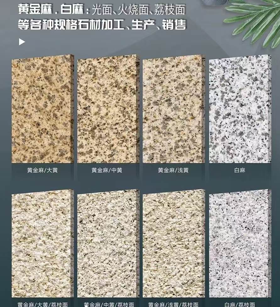 儋州 黄金麻白麻样品展示