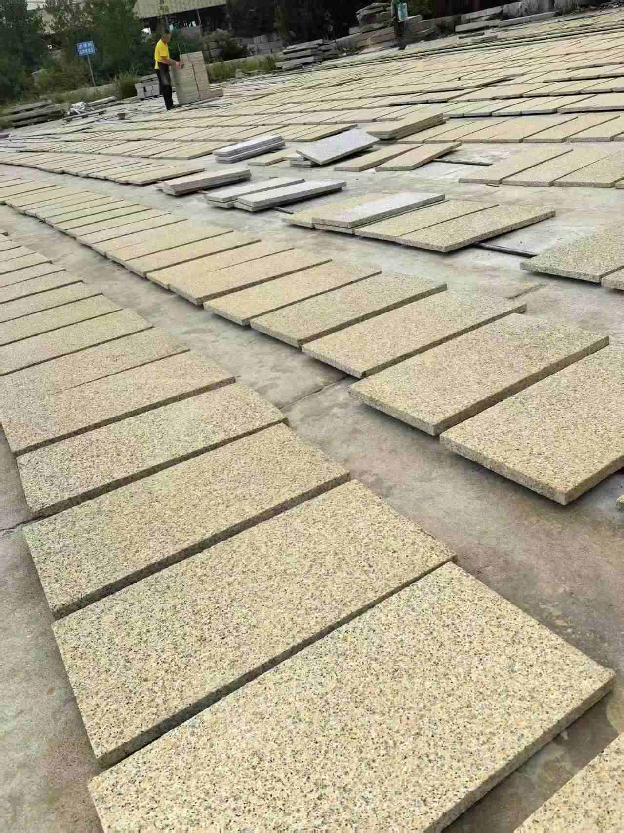 儋州 黄金麻荔枝地铺石面排板