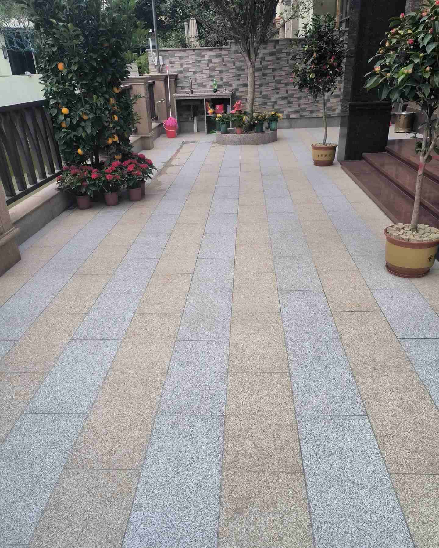 儋州 黄金麻白麻荔枝面庭院铺装展示