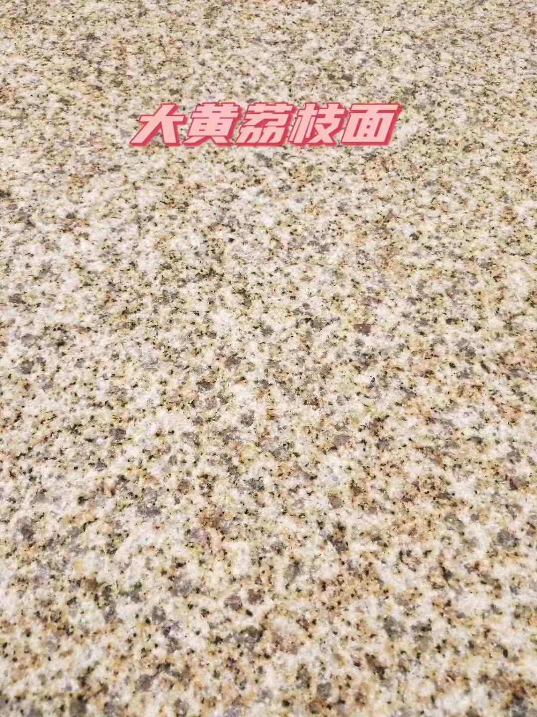 儋州黄金麻大黄荔枝面