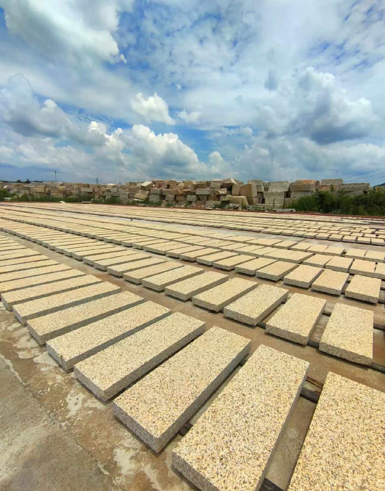 儋州 黄金麻荔枝面花岗岩石材地铺石防护中
