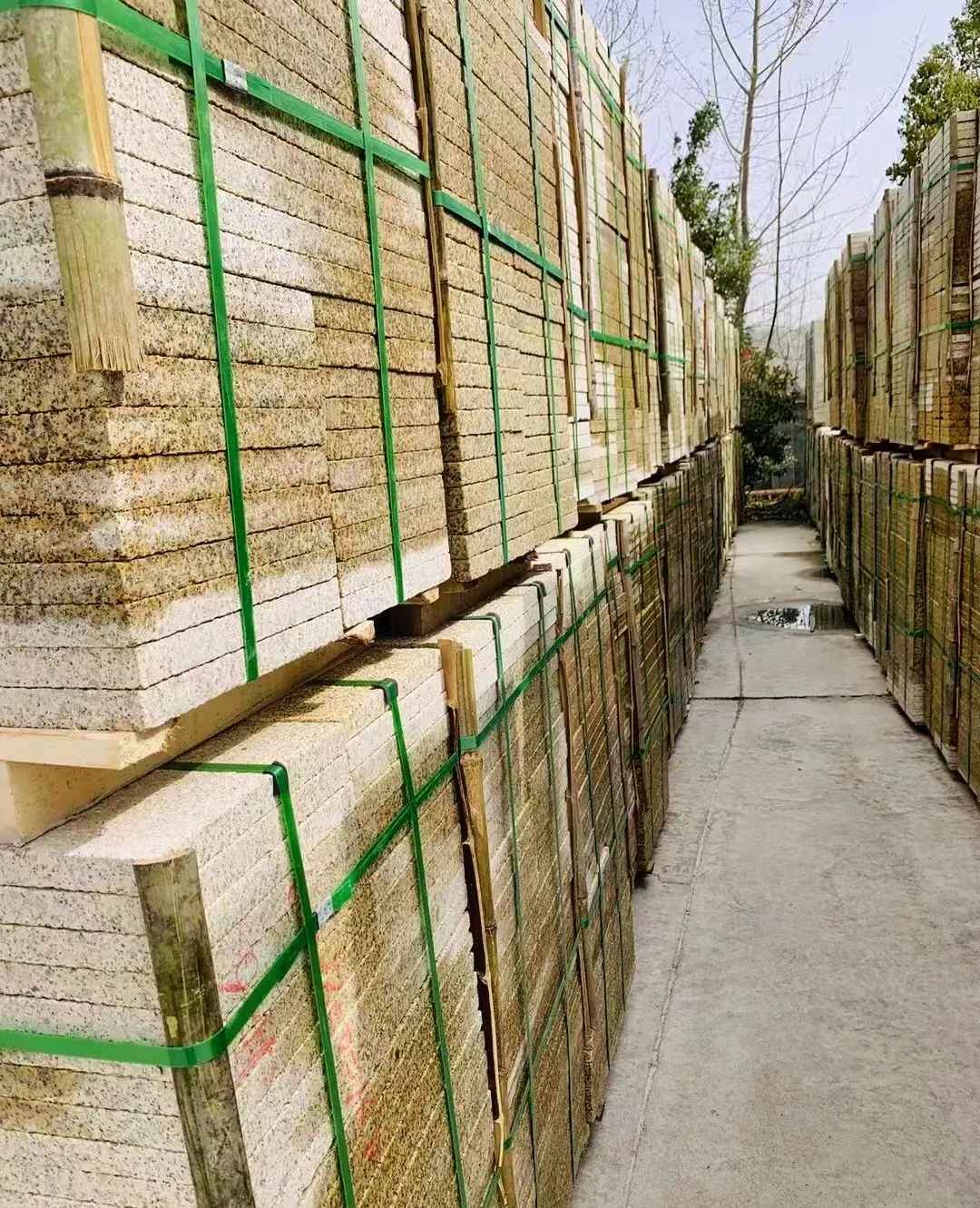 儋州 黄金麻花岗岩荔枝面地铺石