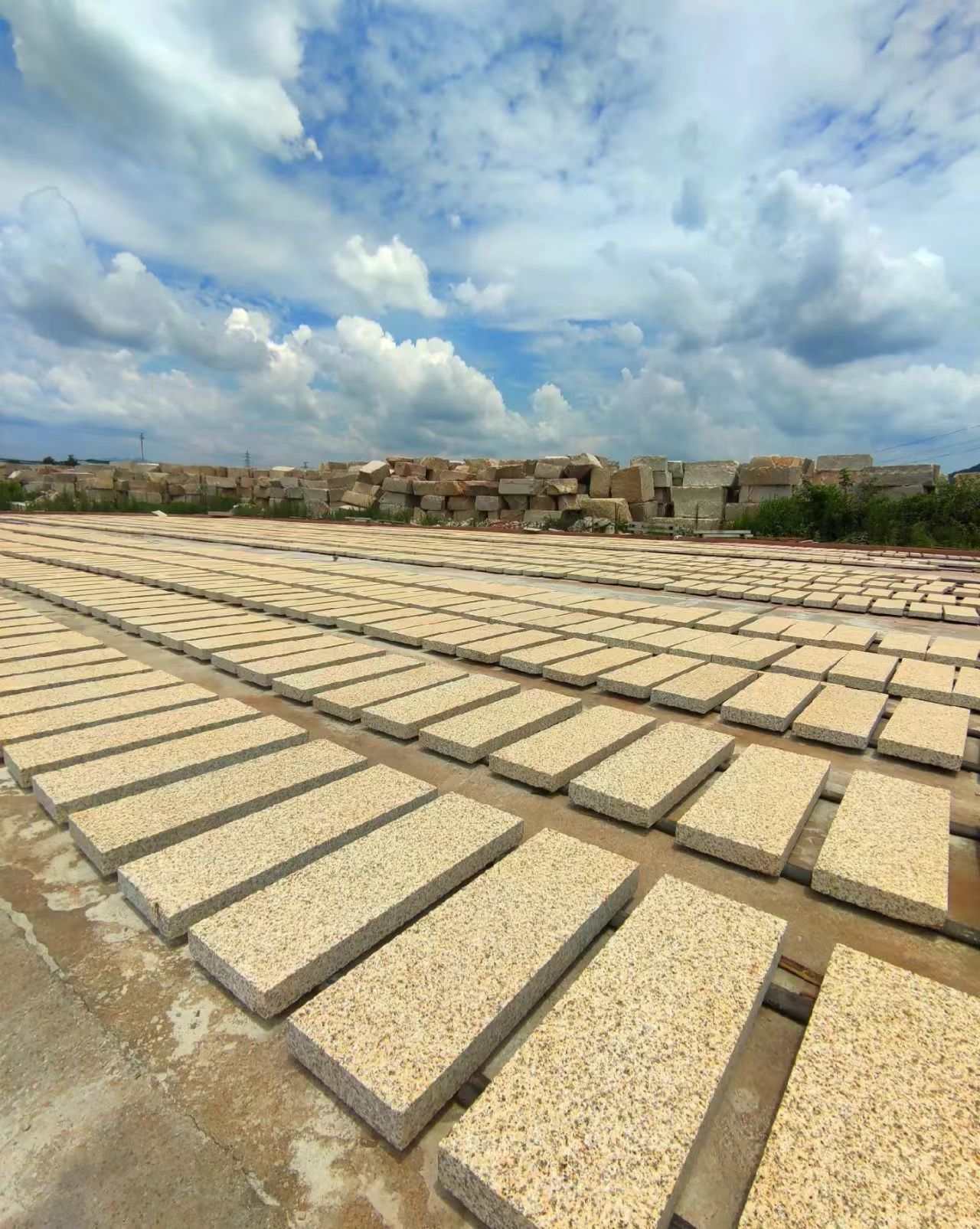 儋州 黄金麻花岗岩荔枝面地铺石防护中